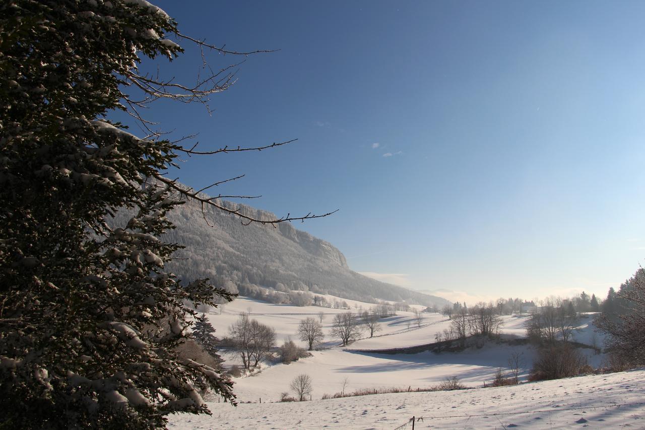 Cafe Brochier Hotel Saint-Julien-en-Vercors Buitenkant foto